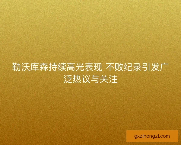勒沃库森持续高光表现 不败纪录引发广泛热议与关注