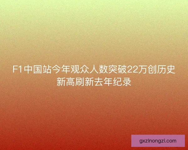 F1中国站今年观众人数突破22万创历史新高刷新去年纪录
