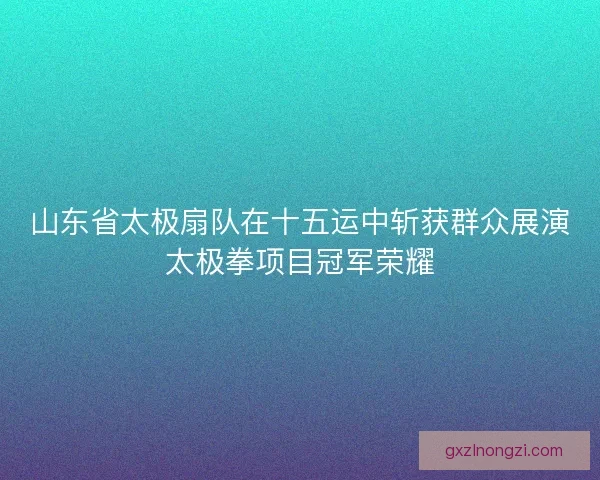 山东省太极扇队在十五运中斩获群众展演太极拳项目冠军荣耀