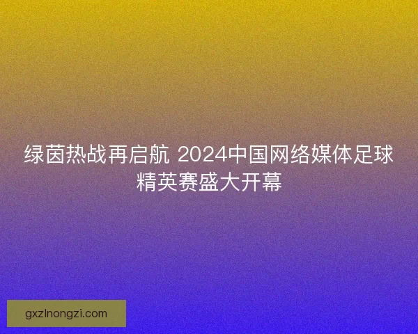 绿茵热战再启航 2024中国网络媒体足球精英赛盛大开幕