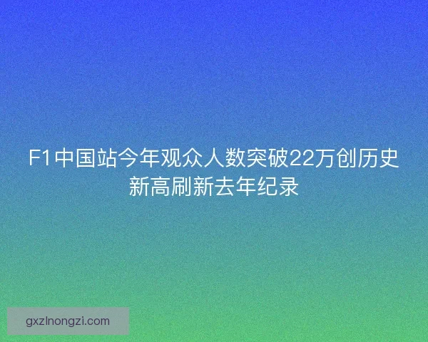 F1中国站今年观众人数突破22万创历史新高刷新去年纪录