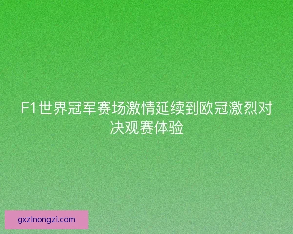 F1世界冠军赛场激情延续到欧冠激烈对决观赛体验